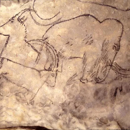 Maison De Charme Pour 13 - Piscine - Dordogne * Montignac-Lascaux